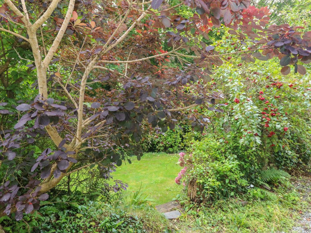 The Old Mill Villa Milford Haven Dış mekan fotoğraf